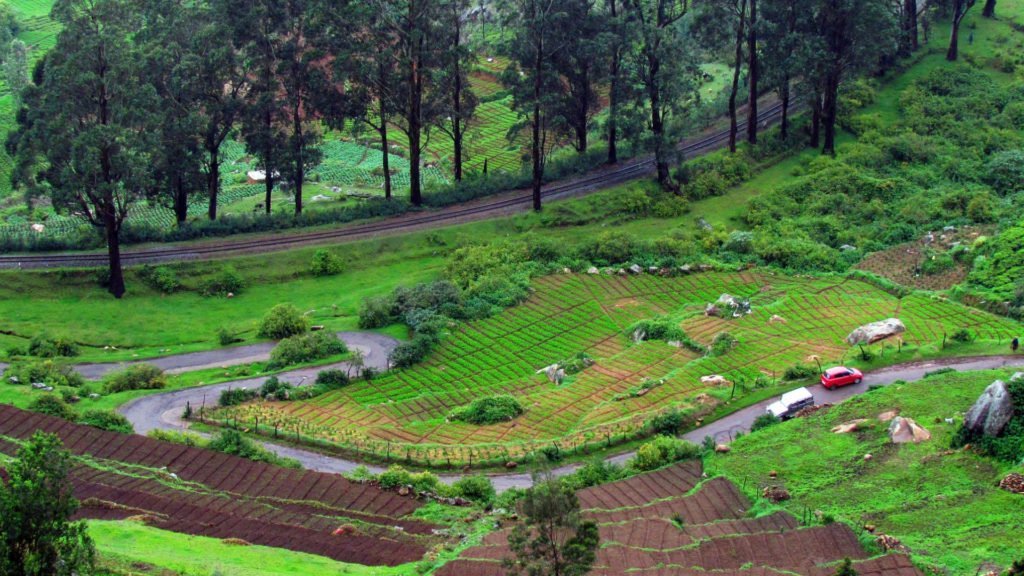 Ooty Honeymoon Destination India