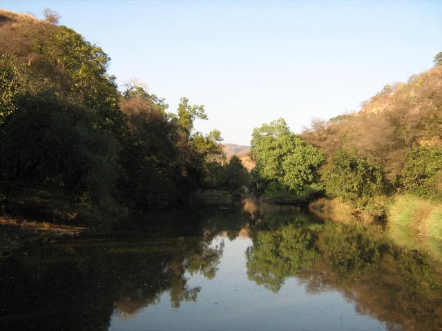 Ranthambore National Park Zone Distribution