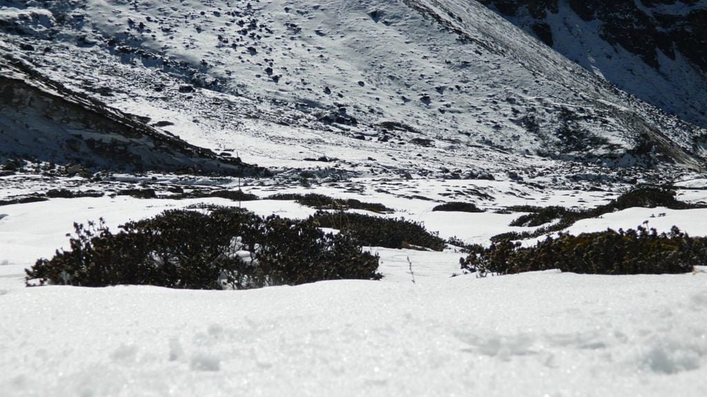 Yumthang Valley Sikkim