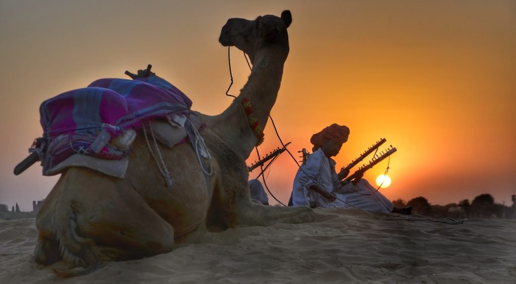 Camel Safari in India
