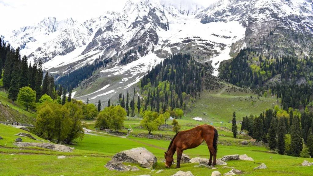 what to pack for kashmir trip