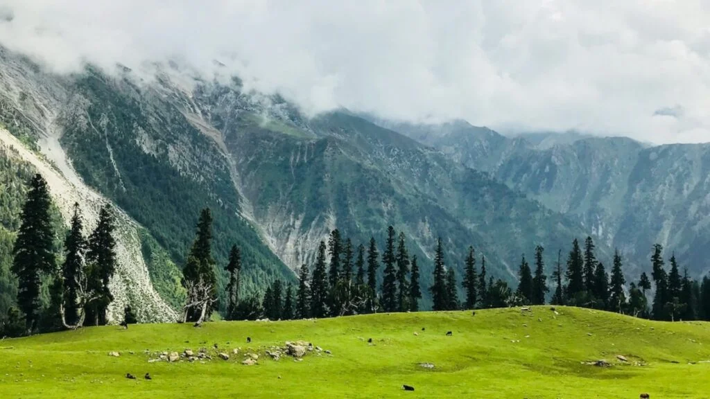 things to carry for kashmir trip in march