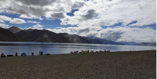 Pangong Tso Lake Leh Ladakh