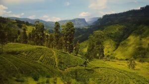 Nuwara Eliya Sri Lanka travelogue