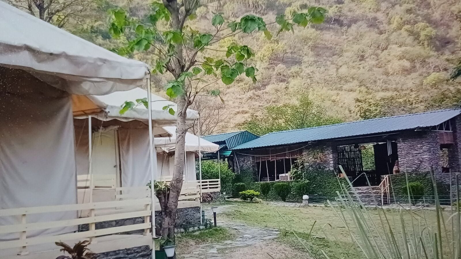 Banyan by the Ganges Uttarakhand travelogue