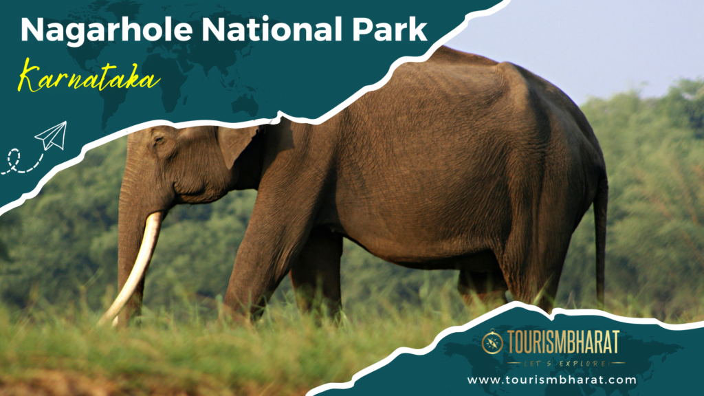 Nagarhole National Park