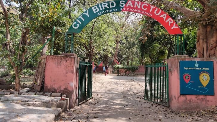 Parrot Bird Sanctuary best places to visit in chandigarh