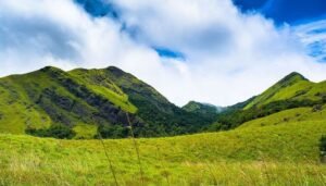 kerala 4 day trip munnar alleppey
