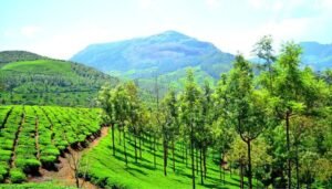Munnar