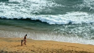 Kerala: The Perfect Tropical Haven For A Romantic Honeymoon