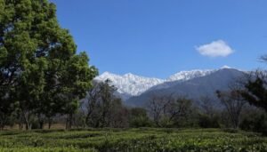best time to visit Himachal