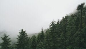 Landour