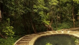 In this blog post, here are the top 10 camping destinations to travel to. 