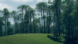 12 Hills in India to Visit Before Winter Sets This November