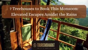 7 Treehouses to Book This Monsoon: Elevated Escapes Amidst the Rains