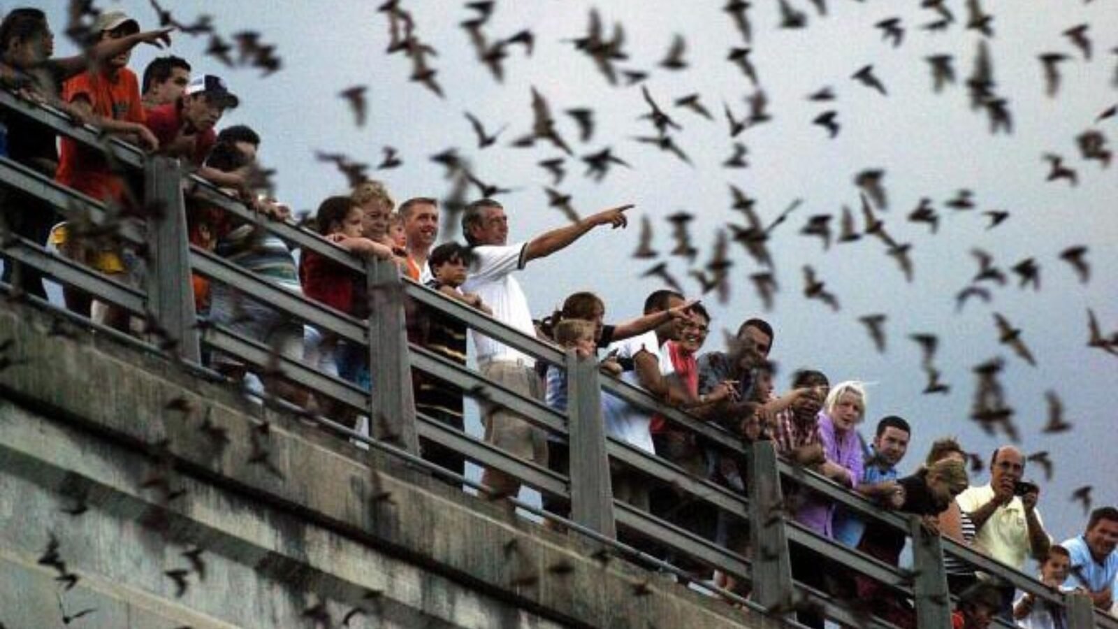 Austin city texas travelogue