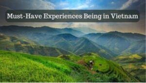 Vietnam Travel Guide