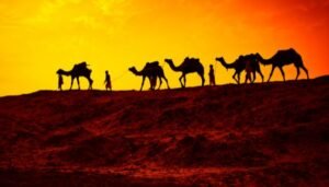 Luxury Travel Destinations in India
