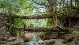All About Eco-Tourism and Indian Eco-Tourism Destinations to Visit!