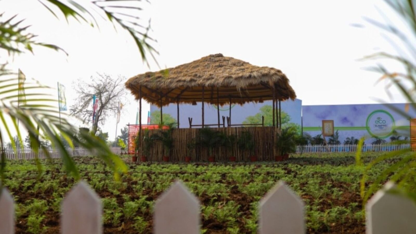 Maharashtra Eco Glamping Travelogue