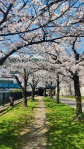 Meguro-Gawa Park Japan Travelogue
