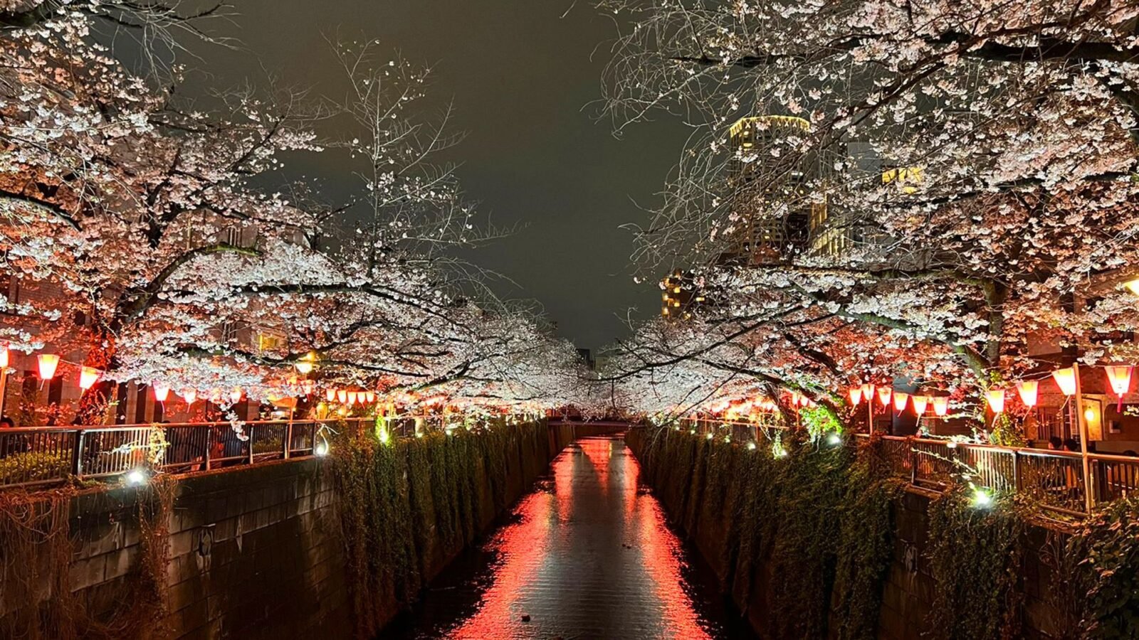 Meguro Travelogue by Sandhyaa TourismBharat