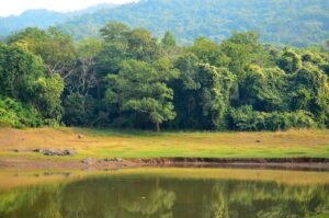 Dalma Wildlife Sanctury
