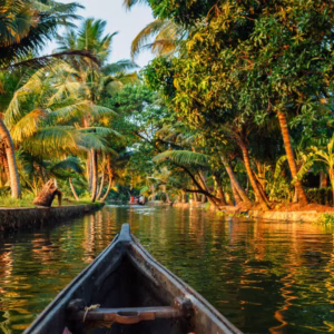 Authentic Cultural Experiences in Kerala