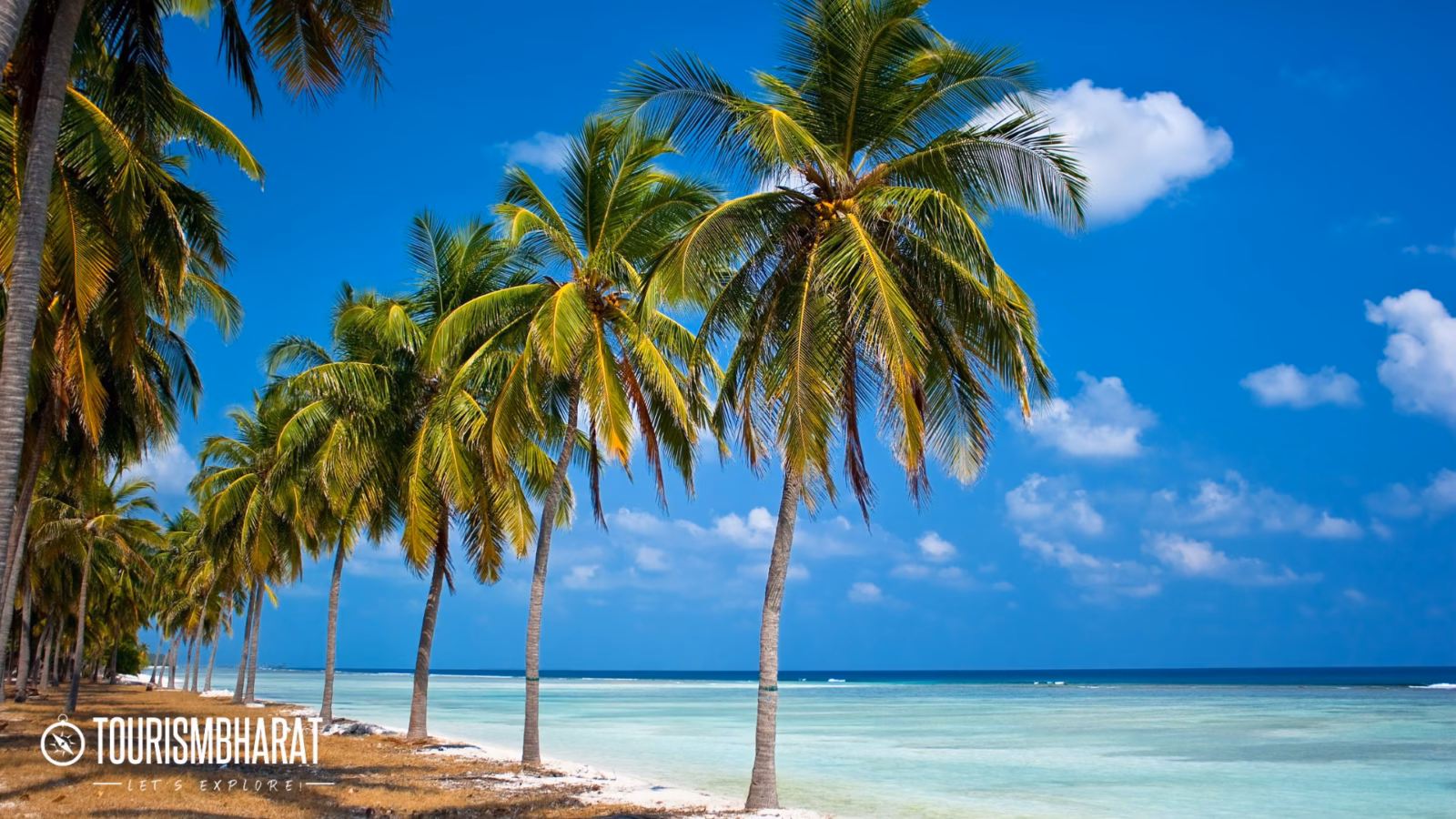 Lakshadweep Tour Packages 2026
