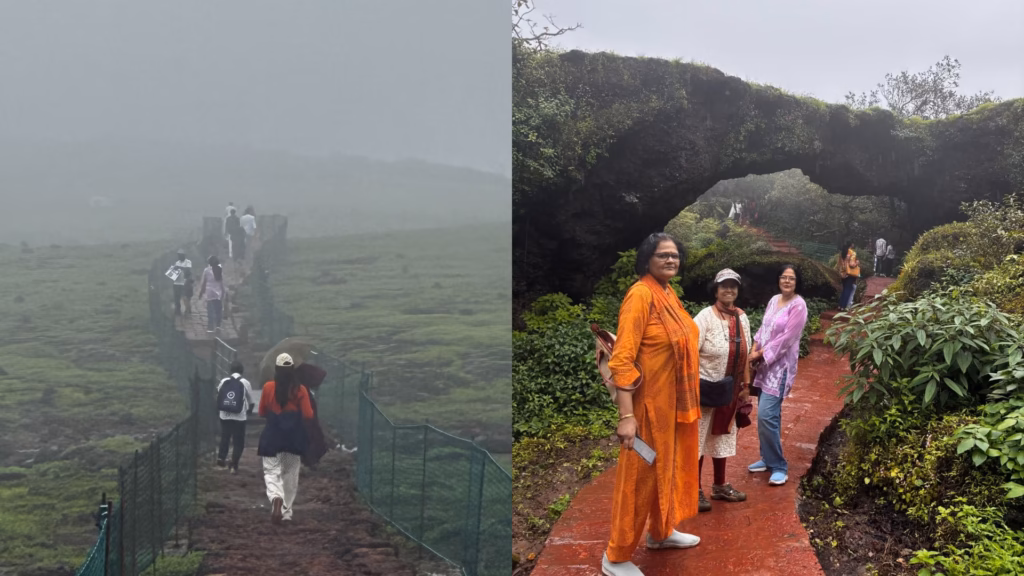 Curated Trails and Tree-Bridge Across the Trail at Kaas Plateau